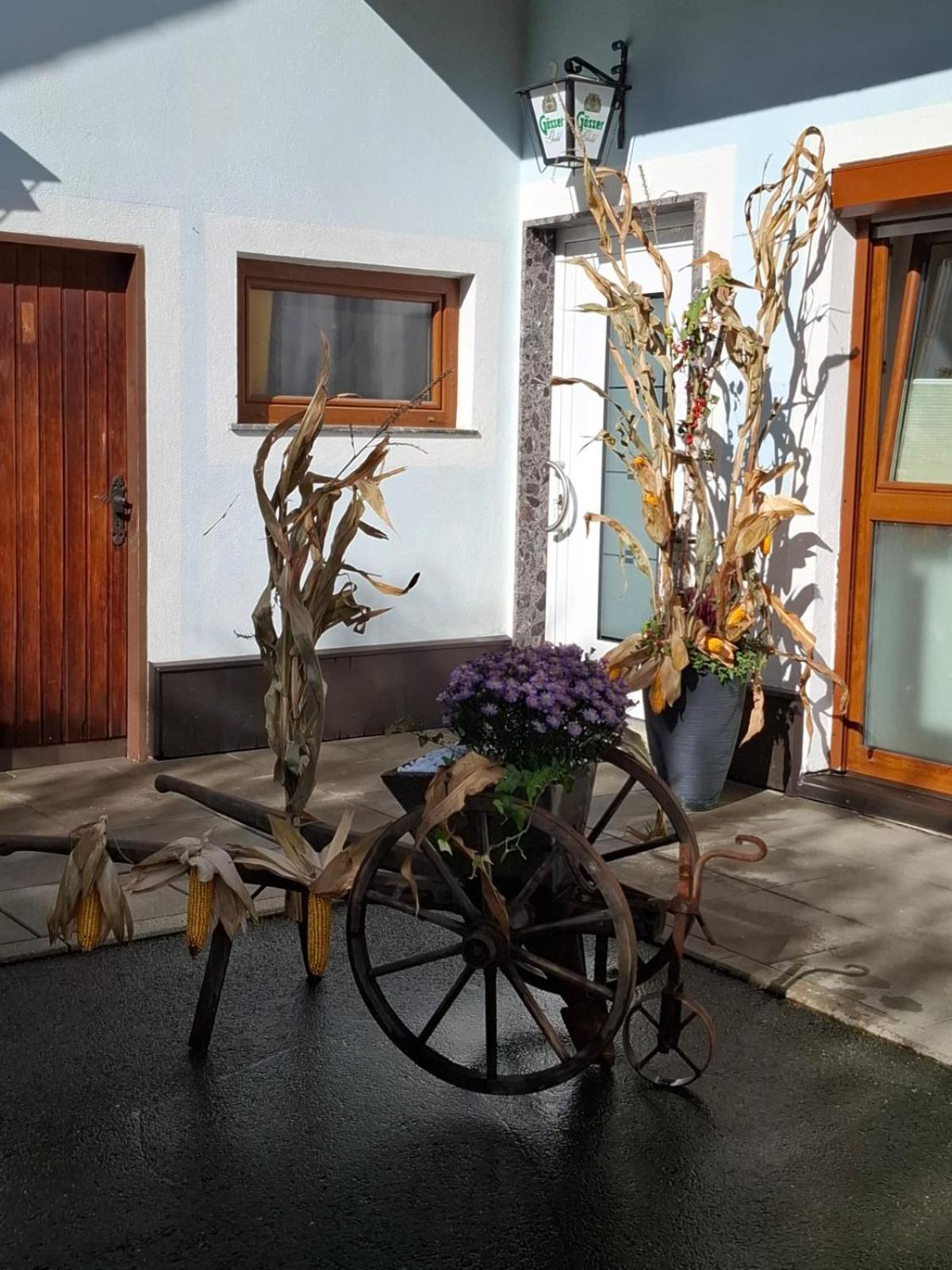 Ferienwohnung Heiabett Wies المظهر الخارجي الصورة