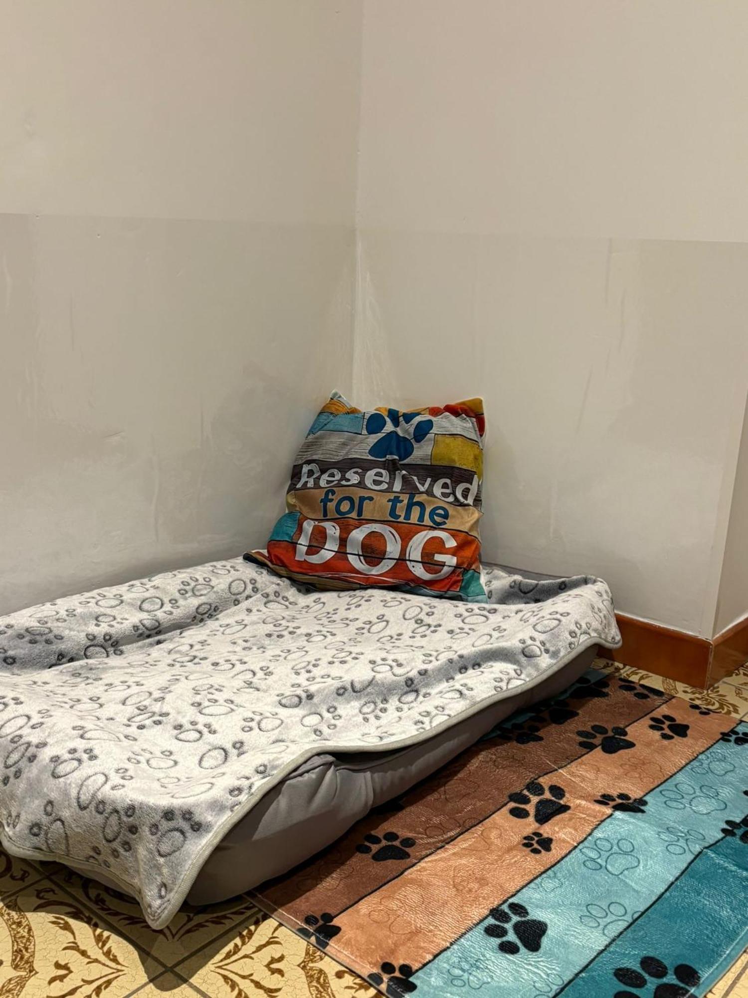 Ferienwohnung Heiabett Wies المظهر الخارجي الصورة